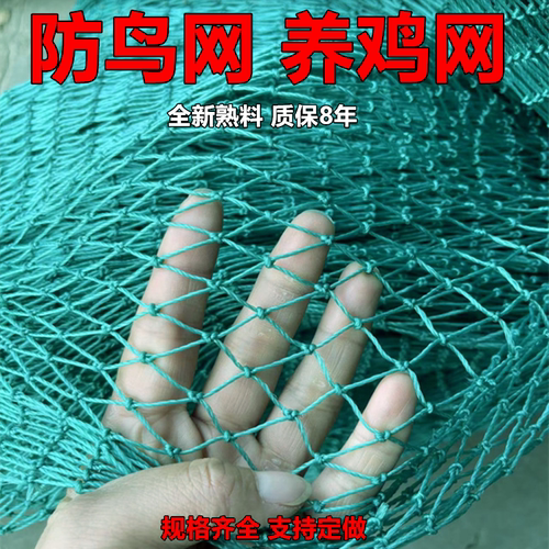 定制尼龙防鸟网家禽养殖网养鸡网拦鸡围网鱼塘果园爬藤网防鸟天网