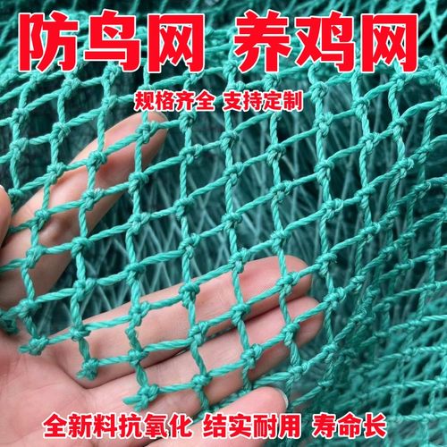 定制养鸡网养殖网防鸟网户外防鸟网拦鸡围栏网养鸡网聚乙烯拦鸡网