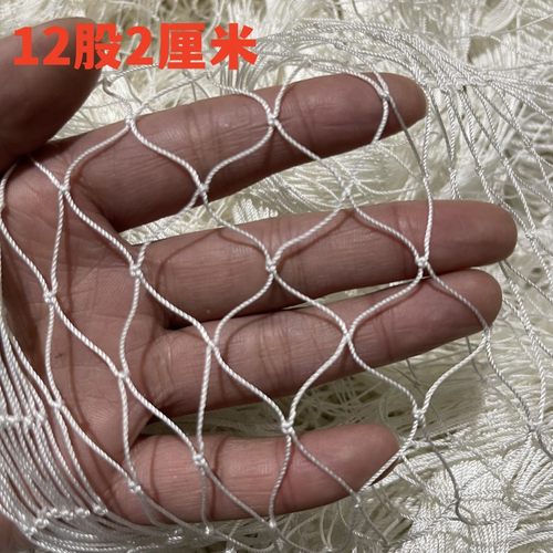 定制渔网尼龙养殖网户外养鸡网尼龙线防鸟网果园池塘天网拦鸡围网