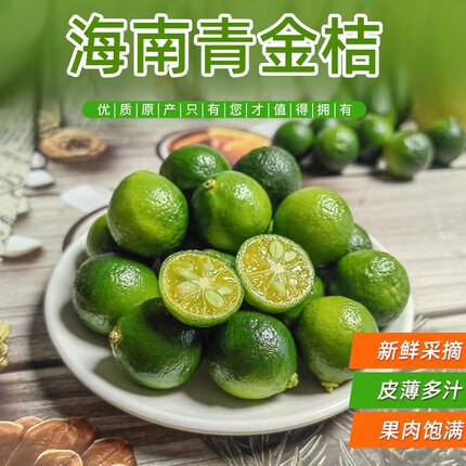 上海发海南青金桔新鲜青桔子小青柠包邮酸爽新鲜水果小青桔橘子