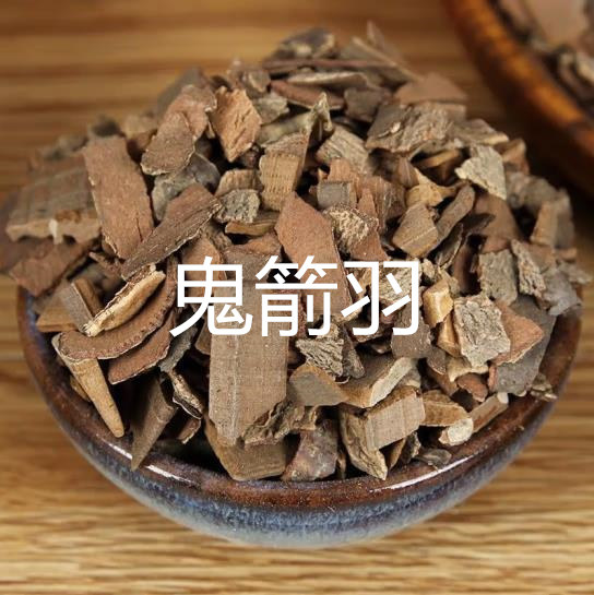 鬼箭羽天然纯新货中药材鬼见羽卫矛六月凌鬼见羽500g鬼见羽可磨粉