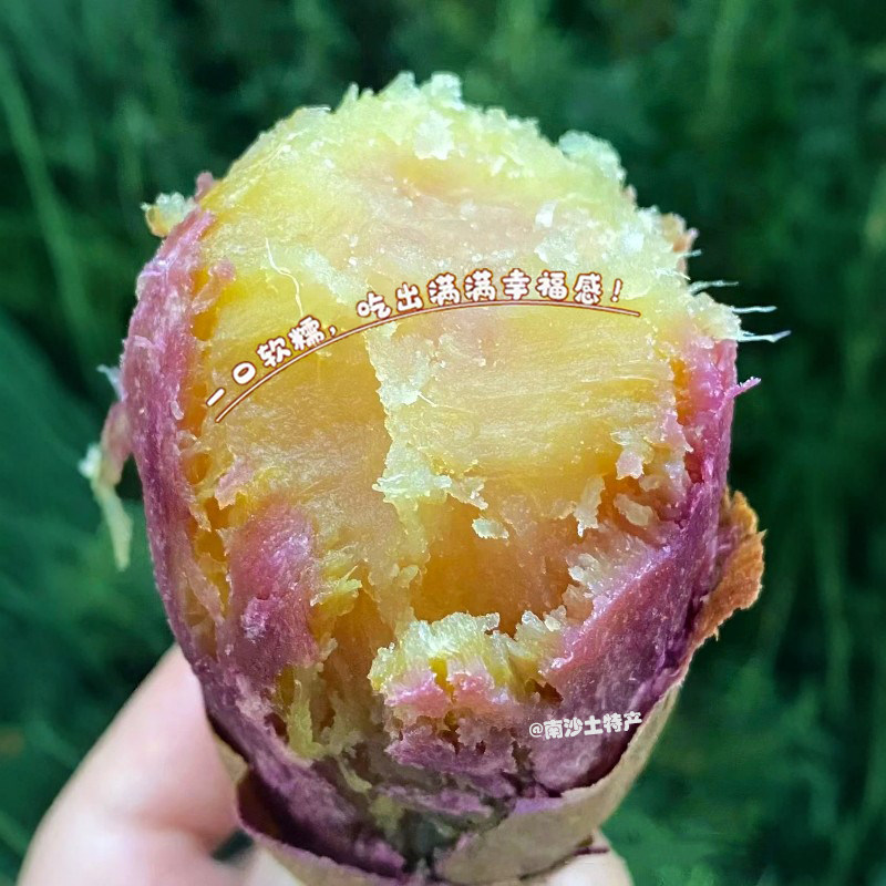 正宗南沙一点红番薯新鲜现挖红薯软糯香甜沙地蜜薯农家自种烤地瓜