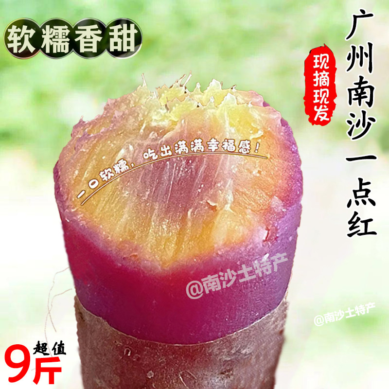 【顺丰可选】正宗南沙一点红番薯板栗红薯现挖软糯农家自种蜜薯