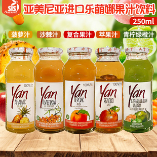 亚美尼亚进口乐萌娜果汁饮料250ml/瓶复合果汁苹果汁菠萝汁沙棘汁