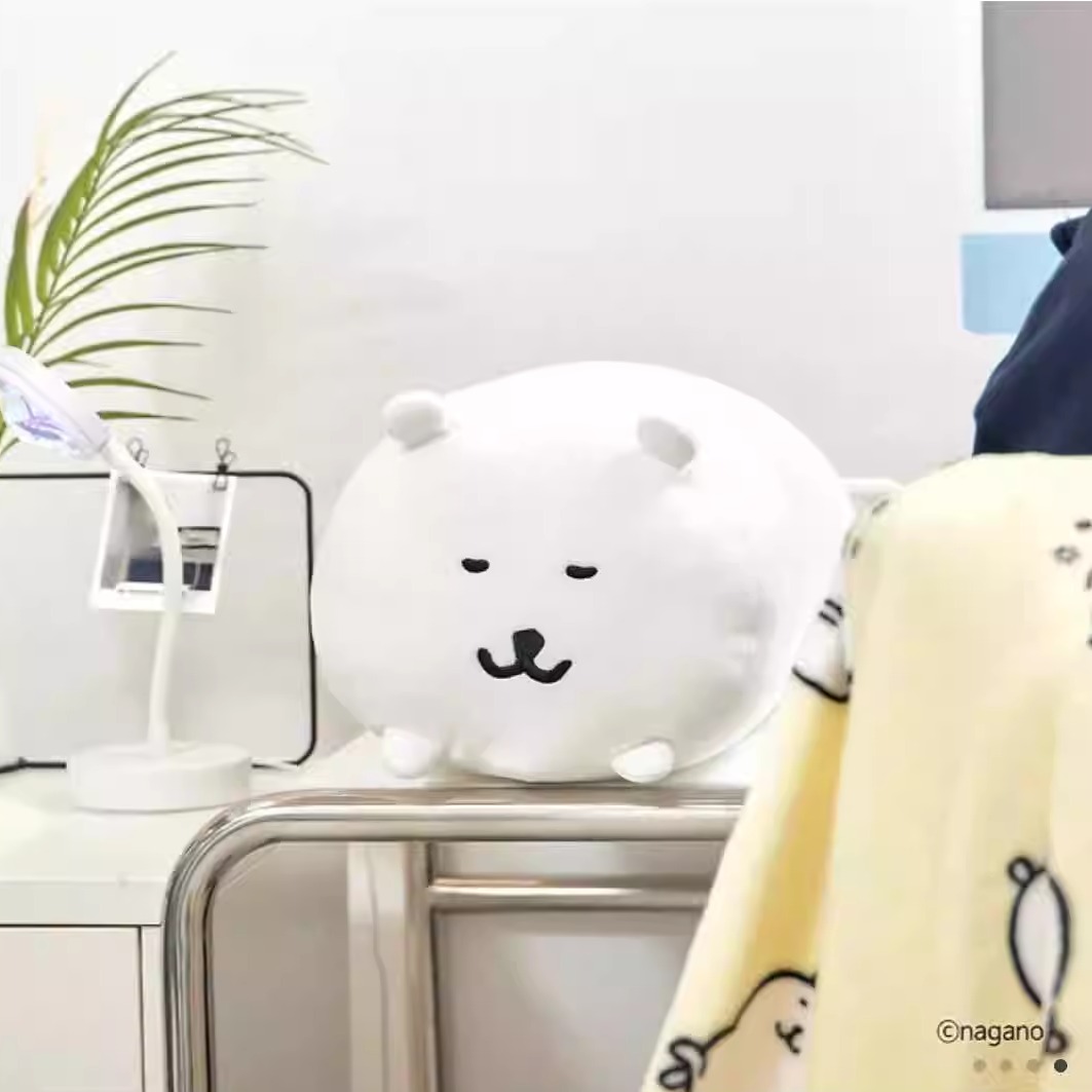 韩国正版自嘲熊毛绒毯子抱枕