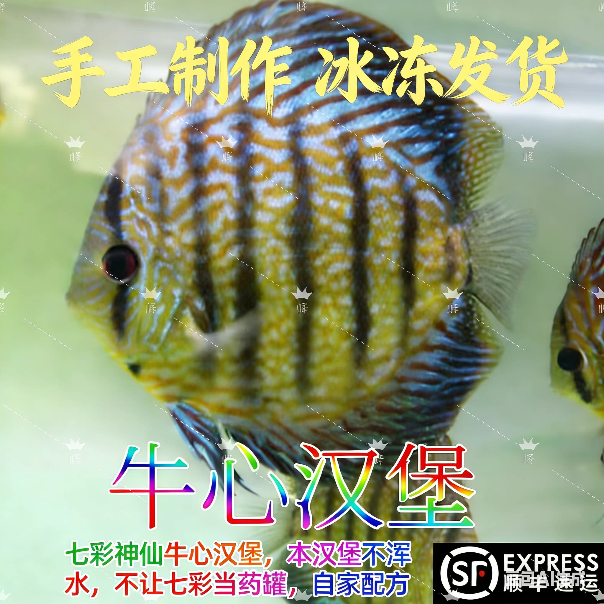 牛心汉堡七彩神仙鱼食埃及罗汉高观赏鱼饲料