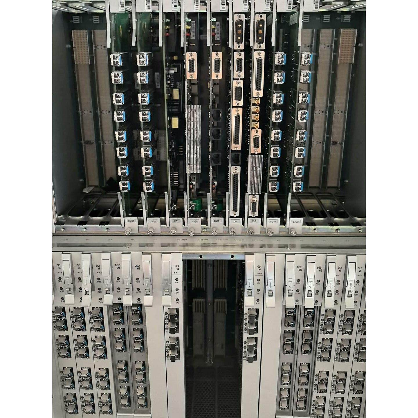 【释迦】中兴s385