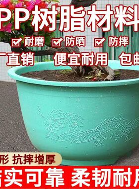 塑料大花盆加厚特大号码种果树盆户外庭院超大口径龙缸盆清仓特价