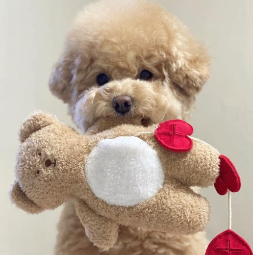 口袋爱心藏食小熊宠物漏食玩具