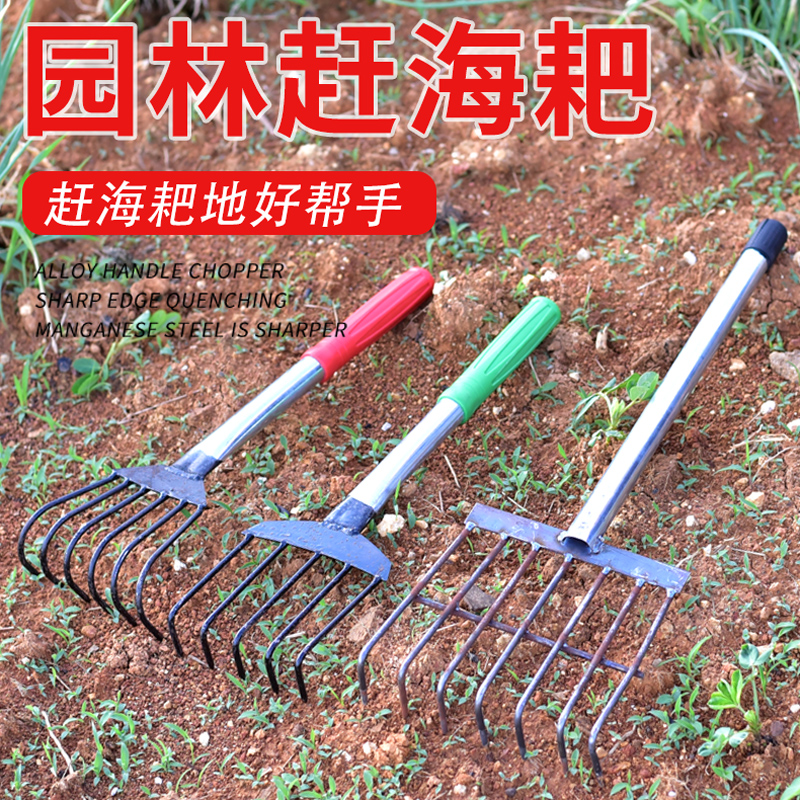 赶海专用工具耙子神器蚬贝壳