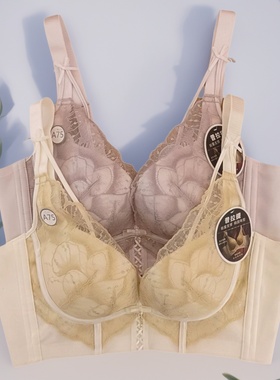 都市丽人正品AB杯文胸LJC1C5普拉提塑形聚拢提胸无刚圈四排扣内衣