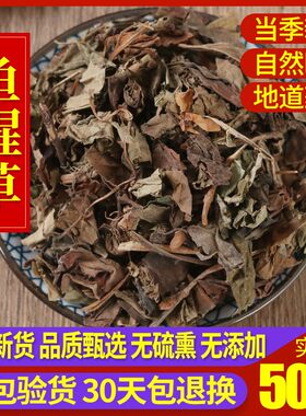 500g克泡水茶正品新鲜鱼腥草