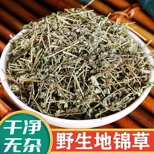 中药材 地锦草 小飞扬草 天然纯新货 铁线草 奶汁草 红莲草斑雀草
