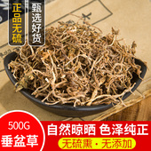 垂盆草中药材500g云南野生干货中药特级无硫狗牙草泡水泡茶锤盆草