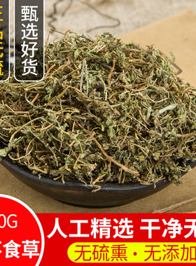 中药材鹅不食草 野生新鲜干货500g包邮食胡荽鹅不食 鹅不食草粉末