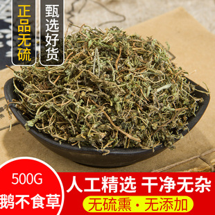 中药材鹅不食草 野生新鲜干货500g包邮食胡荽鹅不食 鹅不食草粉末