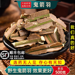 鬼箭羽 天然纯新货 中药材鬼见羽卫矛 六月凌鬼见羽500克正品包邮