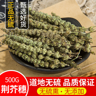荆芥穗中药材500g野生新货荆芥中药材荆芥粉土荆芥大叶荆芥草线芥