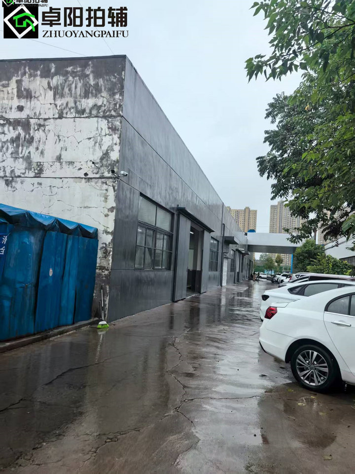 2月6日洛阳九都东路北侧土地及地上附属物网络拍卖公告