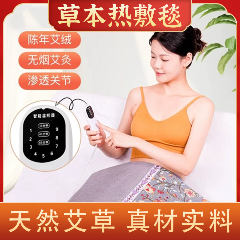 艾灸热敷毯全身通用理疗加热艾绒床垫艾草电热褥子养生熏蒸艾灸毯