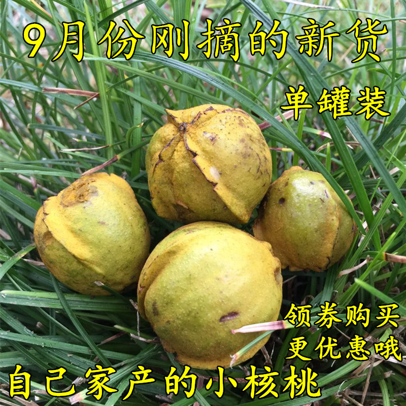 18Äêлõ´ó×ÑÁÙ°²ÊÖ°þɽºËÌÒСºËÌÒºúÌÒ¼á¹ûÌØ²ú³´»õÈÊ1¹Þ×°°üÓÊ