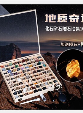 100种地质标本礼盒古生物化石矿石岩石头水晶标本原石科普教学礼