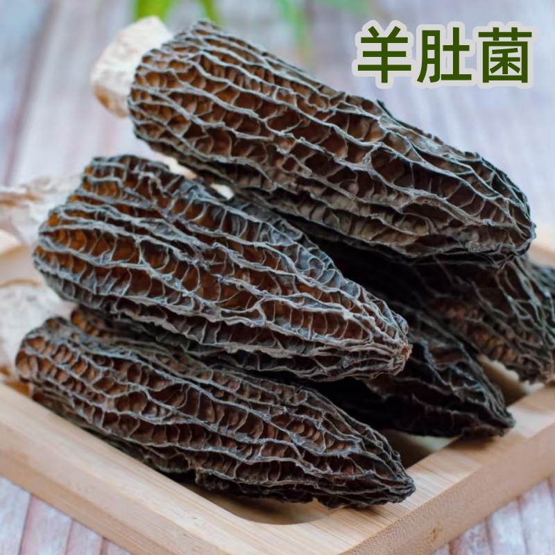 煲汤食材羊肚菌干货大号厚肉