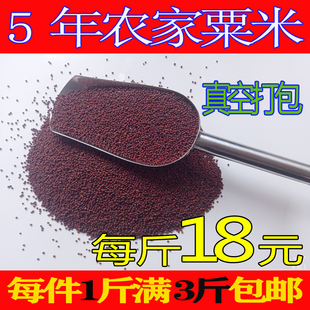 【农甜哥】鸭脚粟龙爪粟米粉拳头粟米粒婴儿枕头红黄小米五谷杂粮