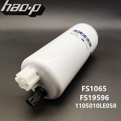 FS1065适配新大康FS19596东风乘龙1105010LE058帅铃3柴油滤清器