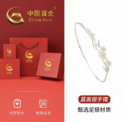 莫离银手镯女纯银999足银镯子高级感老婆生日礼物送女友s