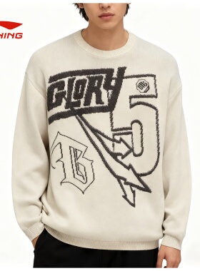 李宁男秋冬毛衣反伍宽松舒适时尚潮流休闲百搭套头编织衫AMBT259