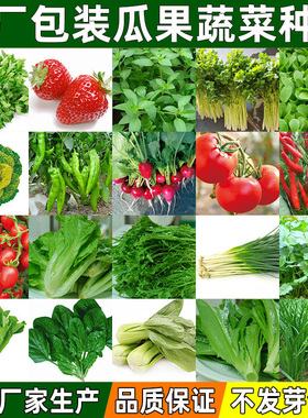 蔬菜种子四季播阳台种菜盆栽庭院黄瓜辣椒南瓜生菜香菜韭菜籽大全