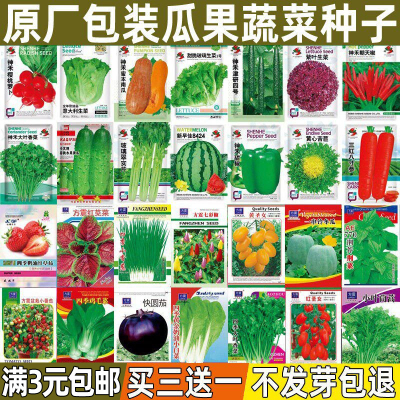 蔬菜种子大全庭院阳台盆栽四季播