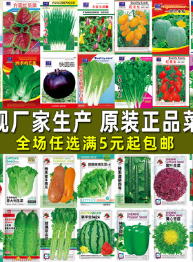 蔬菜种子四季播盆栽阳台庭院易种香菜黄瓜萝卜生菜秋季菜籽种大全