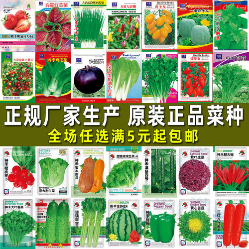 蔬菜种子四季播盆栽阳台庭院易种