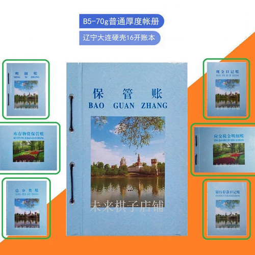 辽宁省会计专用记账本财务账本银行现金日记账明细库存保管分类账