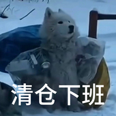 原石原矿 天然紫黄粉发晶蓝绿水晶手串 建木信使｜ 直播