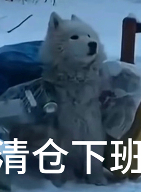 建木信使｜【直播】天然紫黄粉发晶蓝绿水晶手串 原石原矿