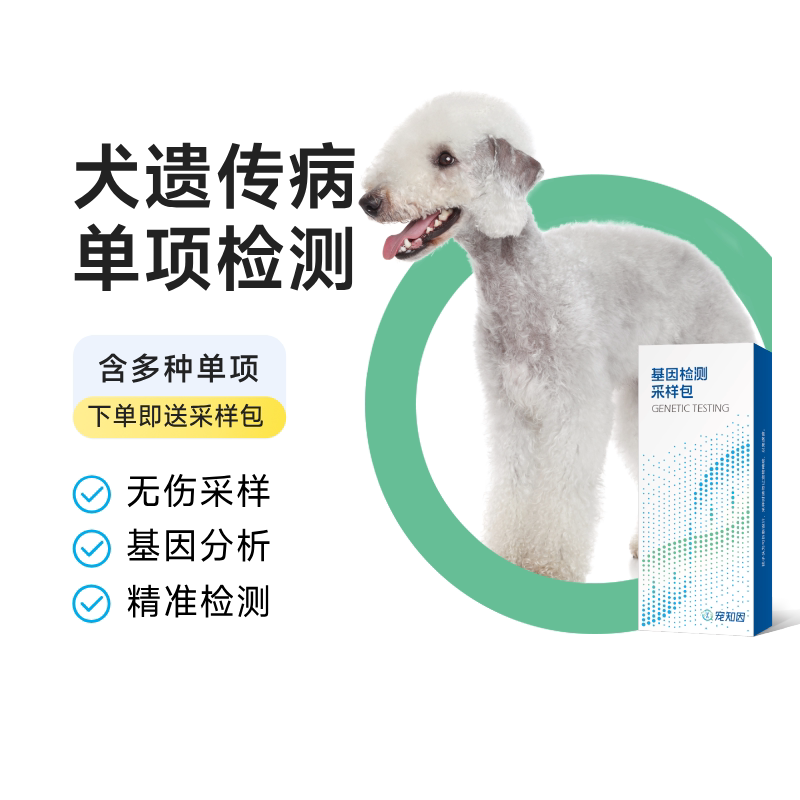 宠主优选犬常见遗传病检测单项