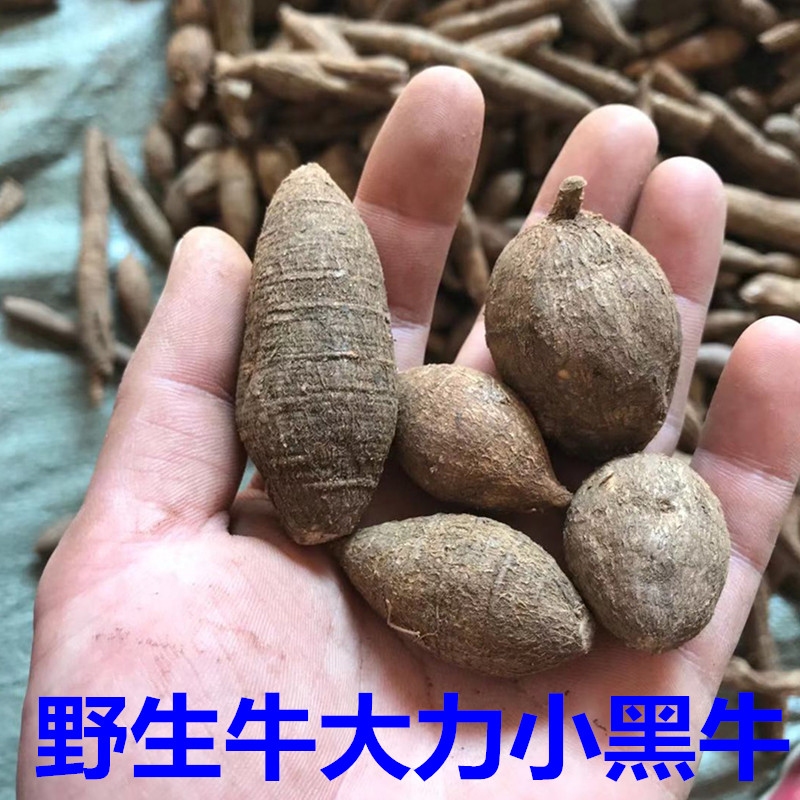 小黑牛大力根薯新鲜野生包邮广东滋补煲汤材料炖汤中药材泡酒500g
