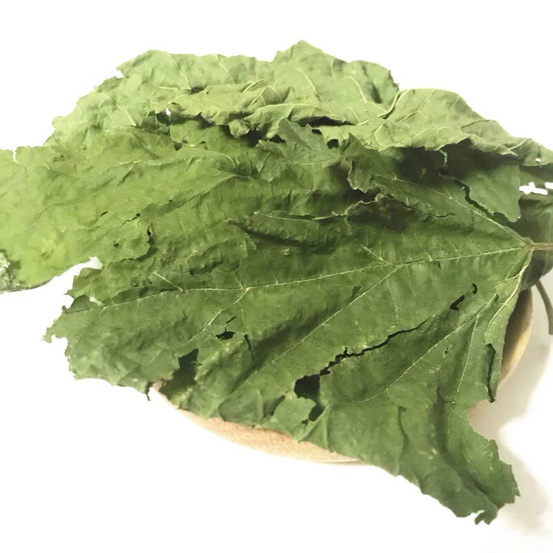 兔子龙猫荷兰猪天然干桑叶零食高蛋白桑叶小宠物牧草零食