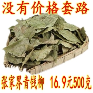 500克张家界青钱柳叶青钱柳青钱