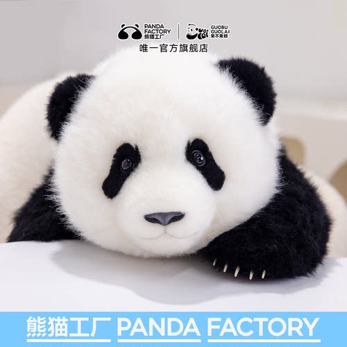 熊猫工厂5月龄萌兰仿真熊猫玩偶