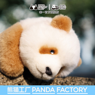 熊猫工厂大头七仔熊猫玩偶咖色巧克力熊公仔羊毛绒玩具情人节礼物