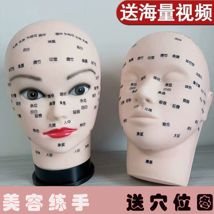皮肤管理头模特美容院学习脸部穴位按摩练手法假人光头模型带肩膀