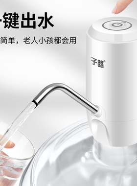 一年换新子路电动双泵抽水器