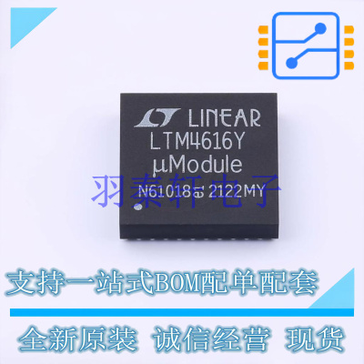 DC-DC电源芯片 LTM4616EY#PBF BGA-144 ADI 全新原装进口