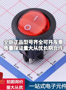 RS601D2-2010011R1B船型开关插件,23x23mm 双刀圆形带灯船型开关