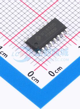 全新WS8300F2ES16单片机SOP-16 可开票