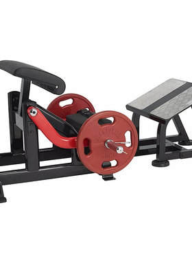 史帝飞/Steelflex PLHT 健身房商用免维护挂片机 仰卧臀部训练器